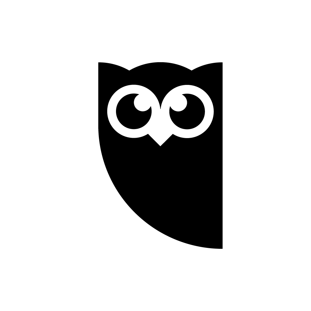 Hootsuite Icon